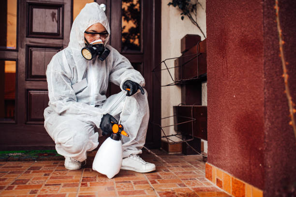Reliable Wasp Removal contractor in Joliet, IL by Show Me Pest Control
